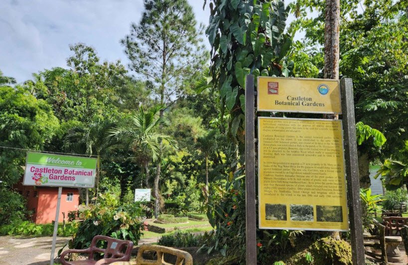 Castleton Botanical Gardens, Jamaica